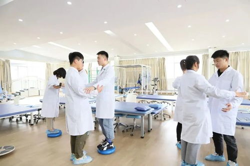 专业解码全视角 重塑生命动能，探索康复治疗技术的核心价值