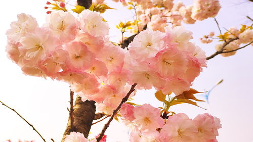 爱吃白食的人,欲壑难填,不值得维护